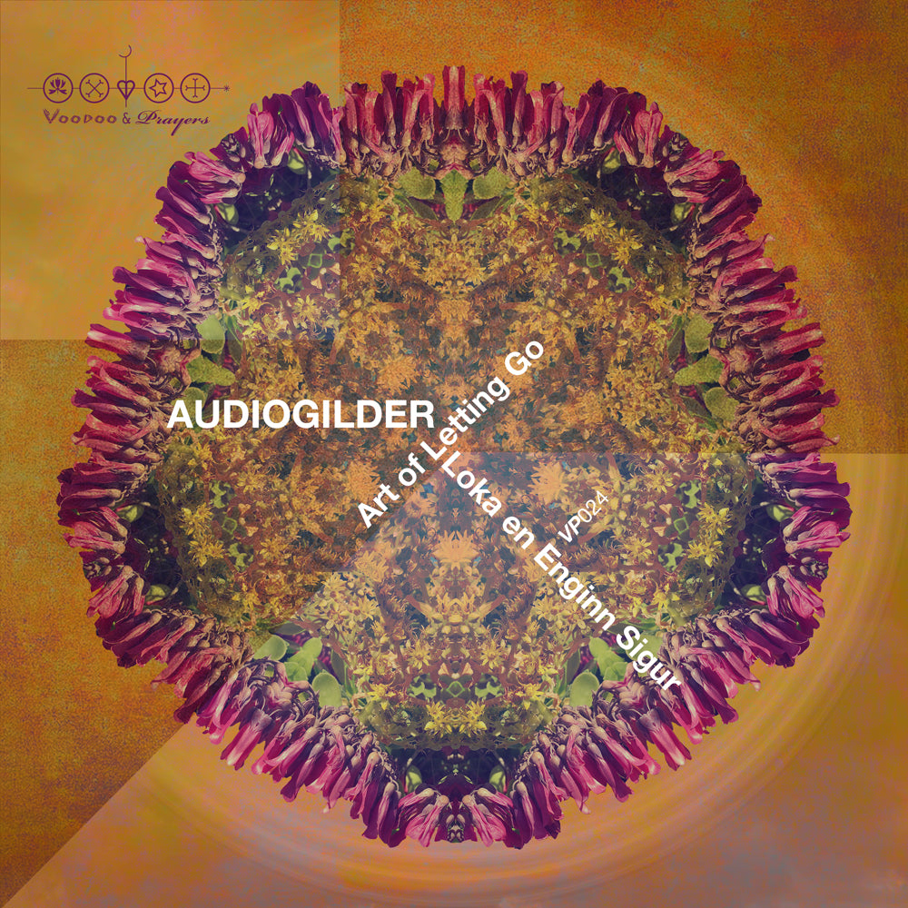 VP024: Audioglider - Loka en Enginn Sigur EP