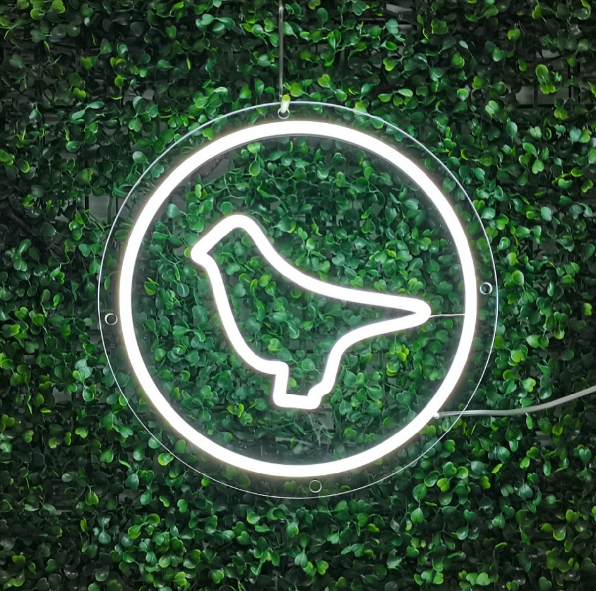 bright white LED neon light in 90's dove pill style on green background