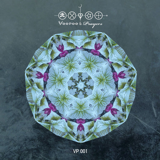 VP001: Moojaa & Norman H - Hidden Depths Remixes EP