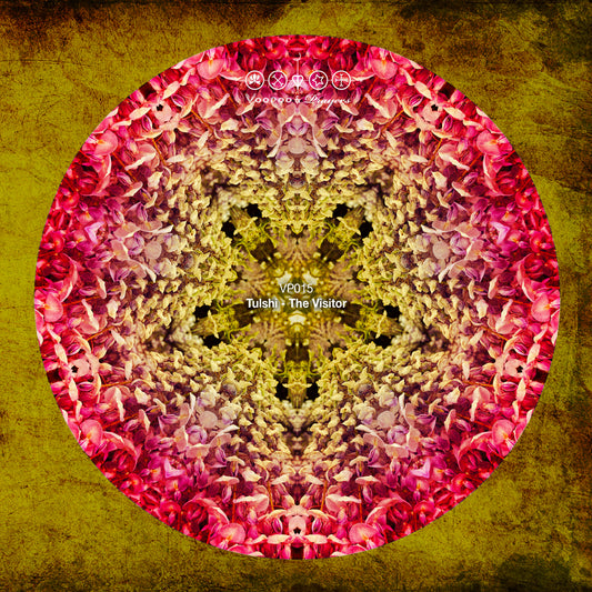 VP015: Tulshi - The Visitor EP