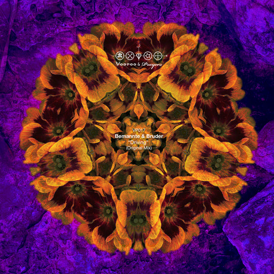 VP017: Bemannte & Bruder - Driving EP