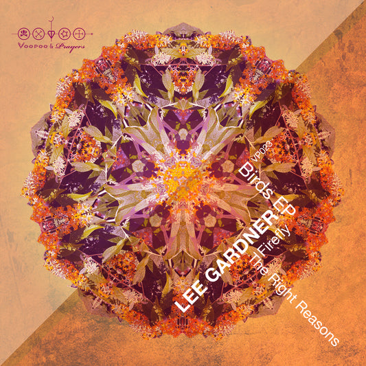 VP023: Lee Gardner - Birds EP