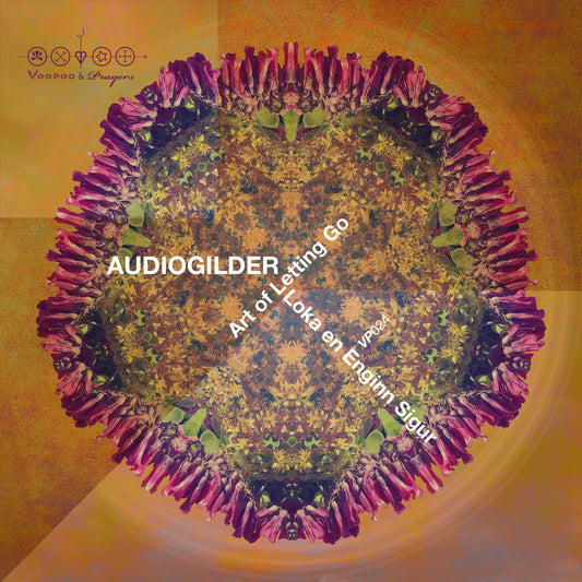 VP024: Audioglider - Loka en Enginn Sigur EP