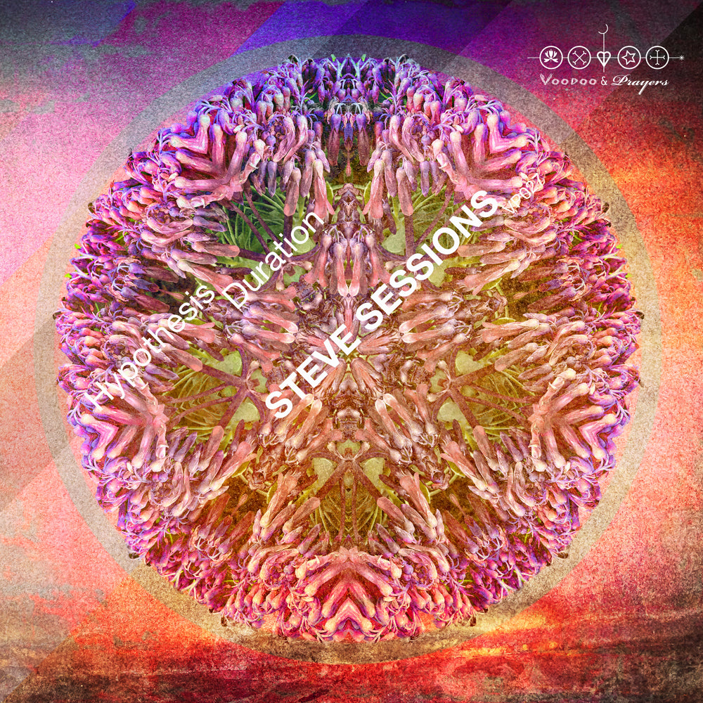 VP027: Steve Sessions - Hypothesis / Duration EP