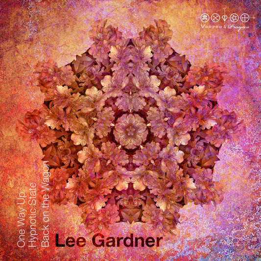 VP033: Lee Gardner - One Way Up EP