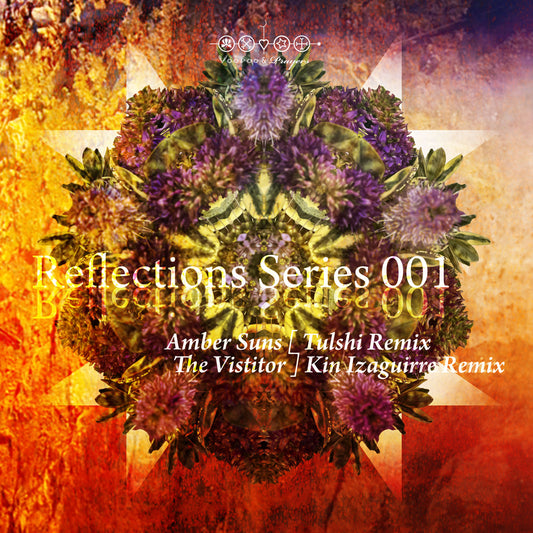 VP048: Tulshi, Kin Izaguirre - Reflections Series 001 EP