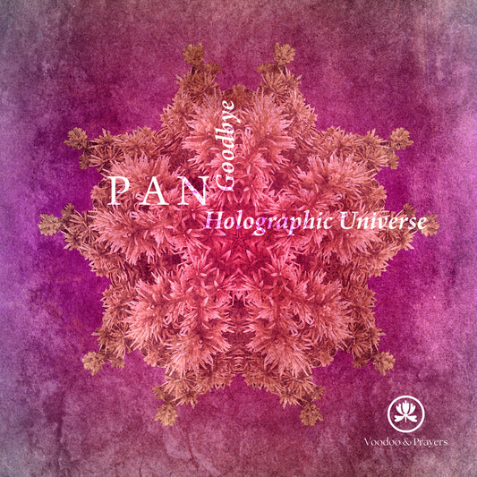 VP063: P A N - Holographic Universe EP