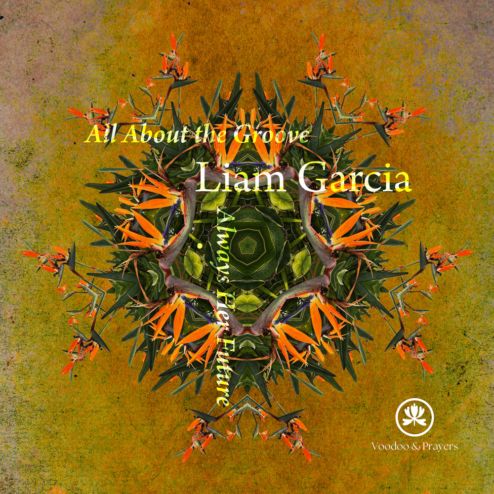 VP065: Liam Garcia - All About the Groove EP