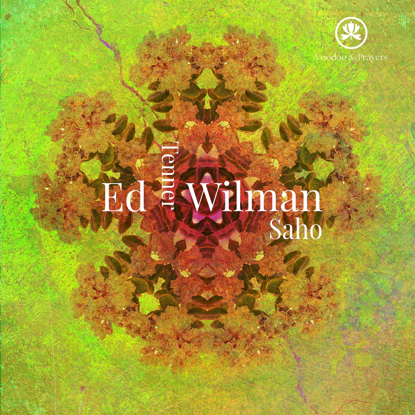 VP072: Ed Wilman - Saho