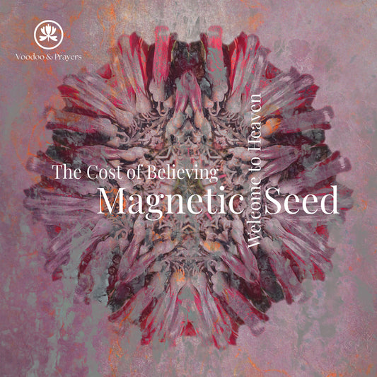VP074: Magnetic Seed - The Cost of Believing EP