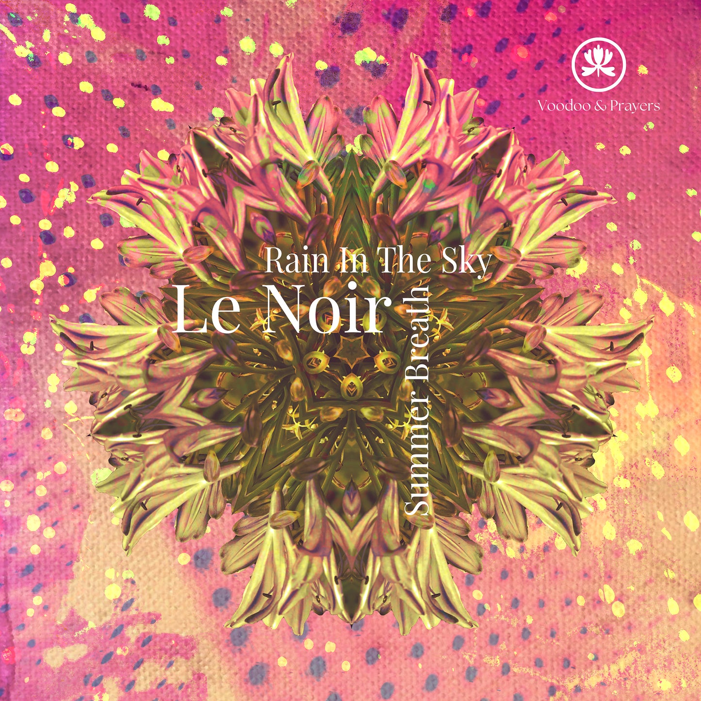 VP076: Le Noir - Rain In The Sky