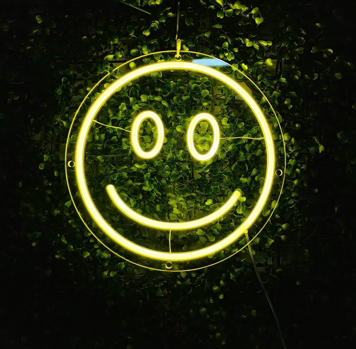 90's rave style yellow smiley LED neon on green leafy background